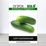 Насіння огірка Хлопці з Грядки F1, самозапильних, 100г
